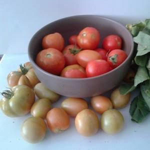 Meet your Posher, Cassie